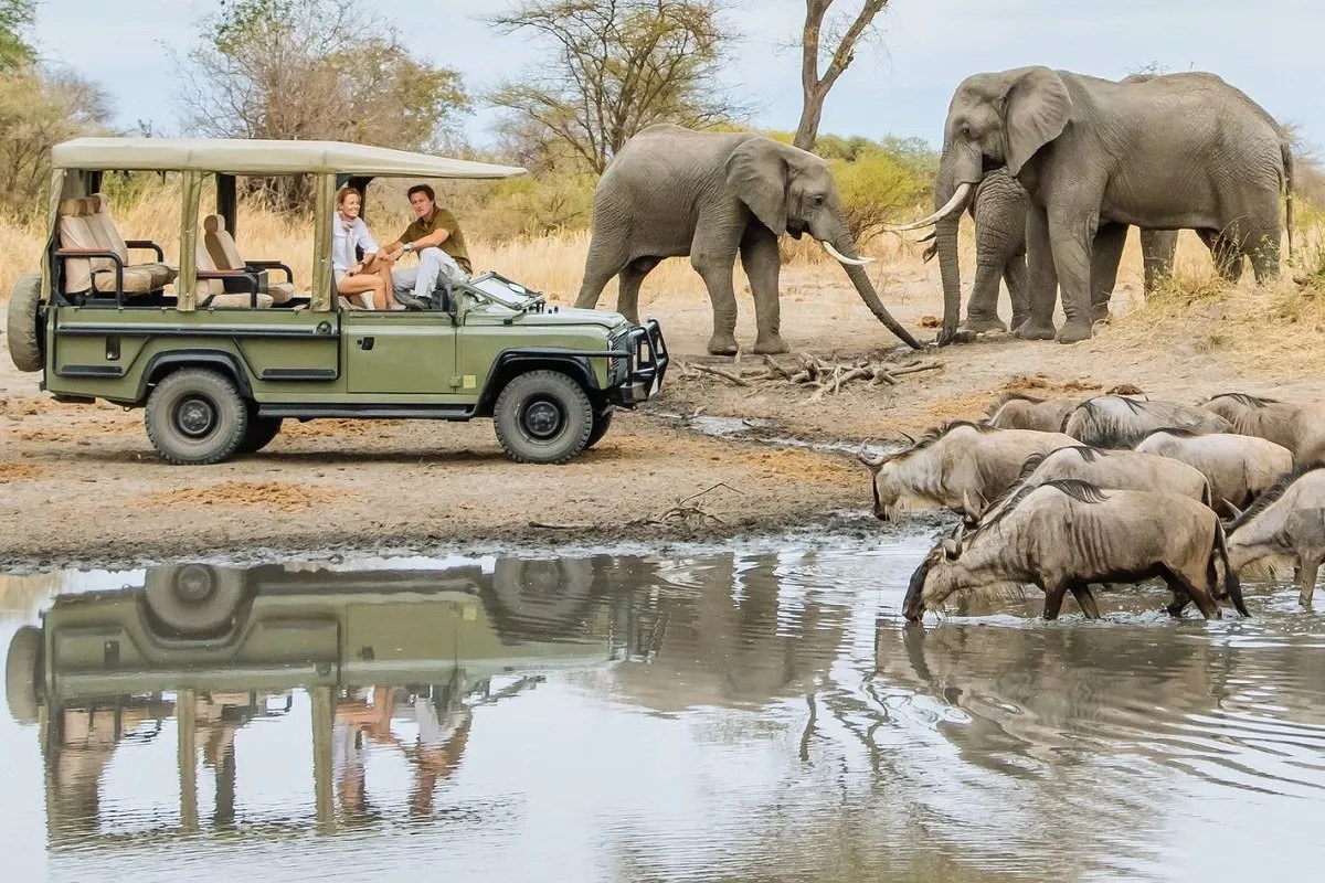 Lake Manyara National Park, Tanzania