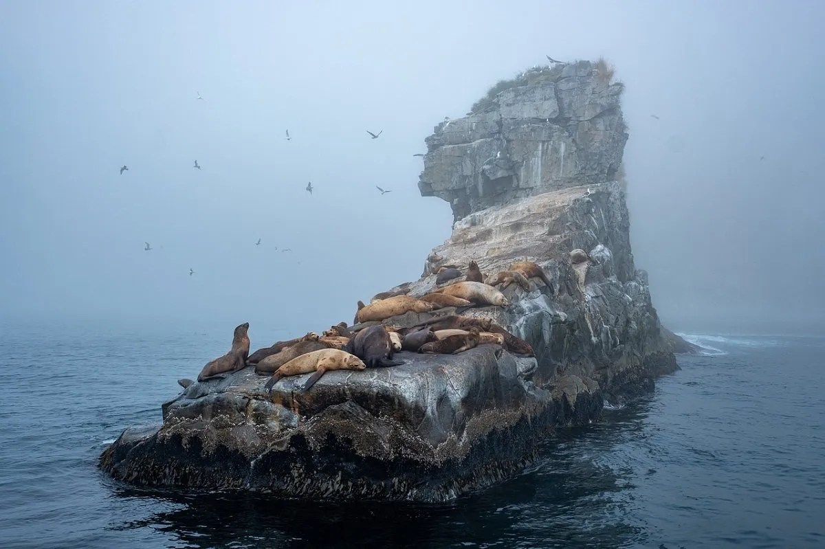 Antarctica
